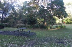 Booderee National Park Cave Beach camping area - eAccommodation